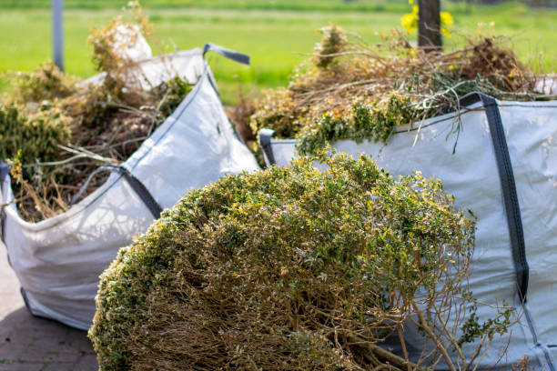 Best Commercial Junk Removal  in Fayette, IA